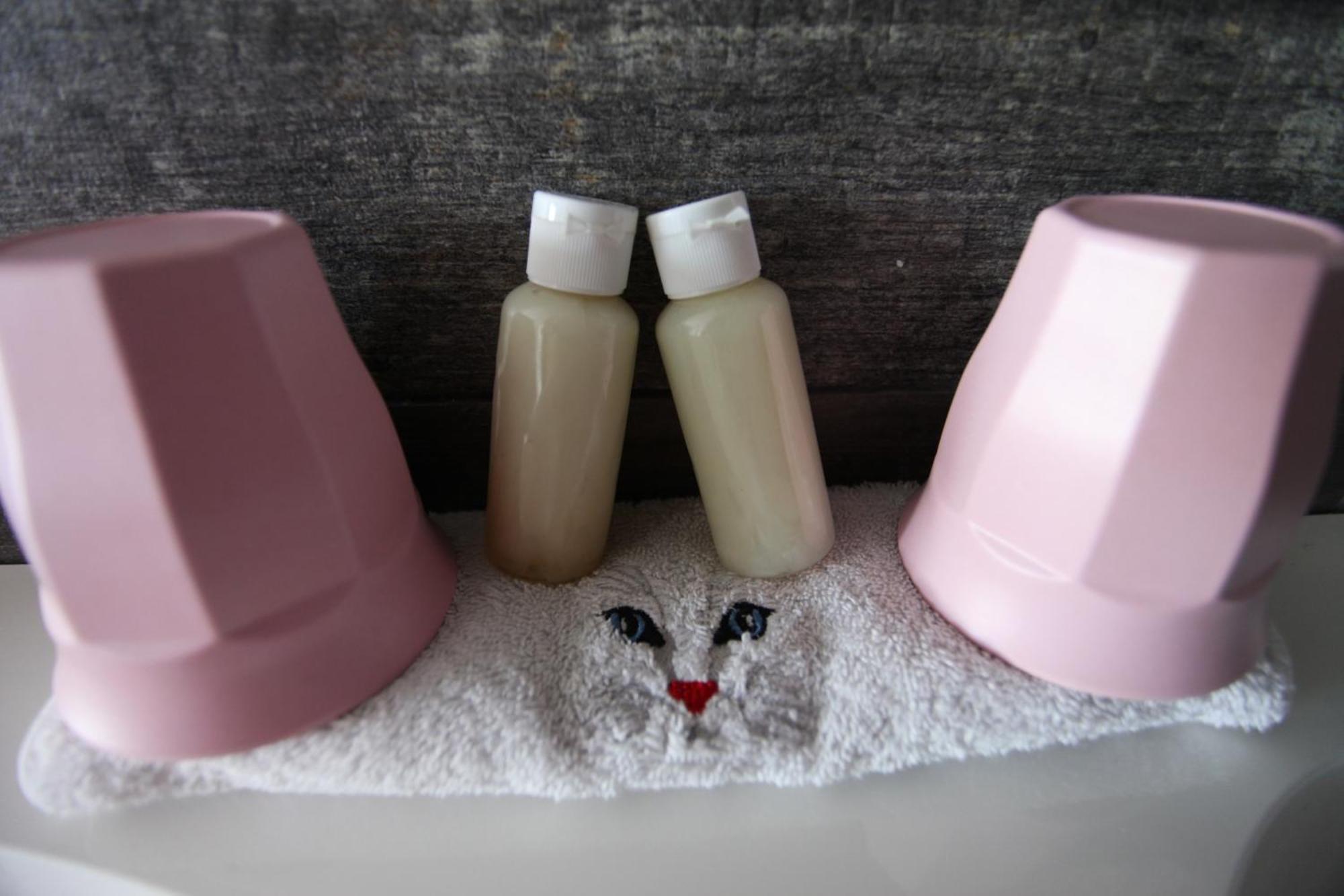 le chat botté77 Jossigny Kültér fotó